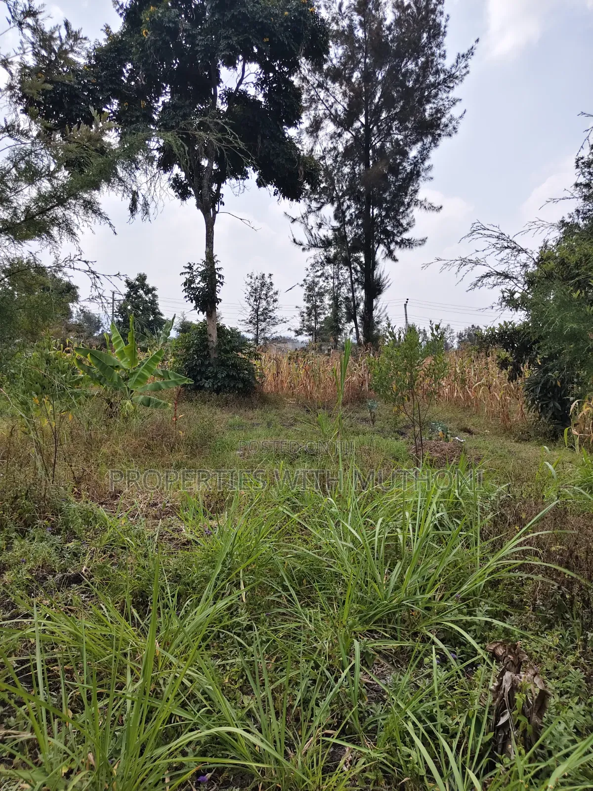 1 Acre for Sale in Kiserian