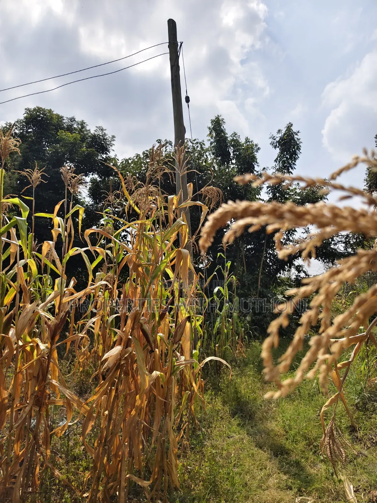 1 Acre for Sale in Kiserian