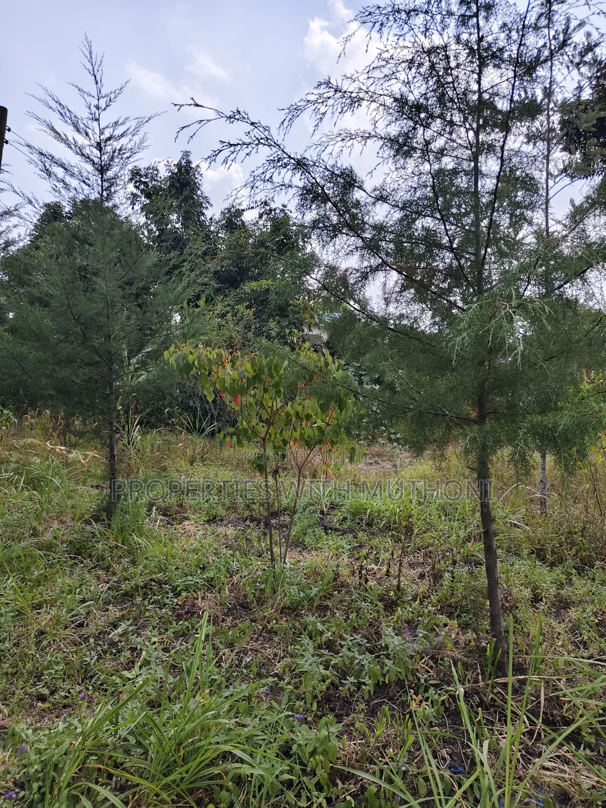 1 Acre for Sale in Kiserian