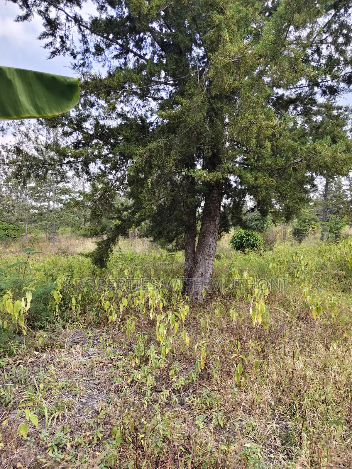 1 Acre for Sale in Kiserian