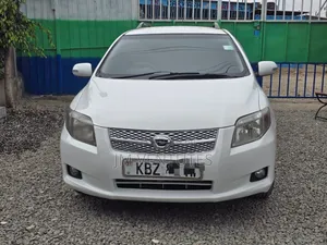 Toyota Corolla Fielder 2007 White