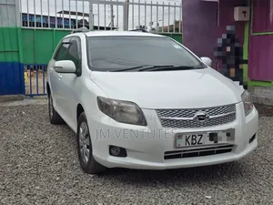 Toyota Corolla Fielder 2007 White