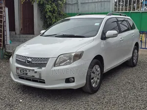 Toyota Corolla Fielder 2007 White