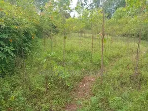 Selling Land Around Sondu Nyabondo Road
