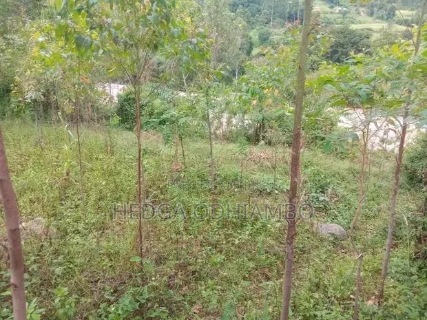Selling Land Around Sondu Nyabondo Road - thumbnail 2