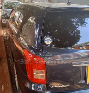 Toyota Corolla Fielder 2007 Black