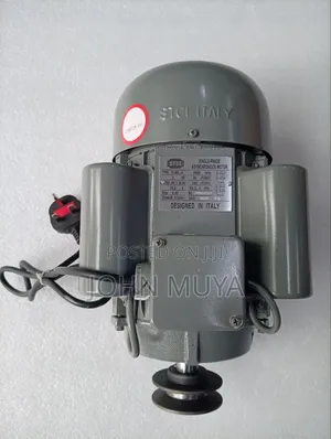Powerful Induction Motor