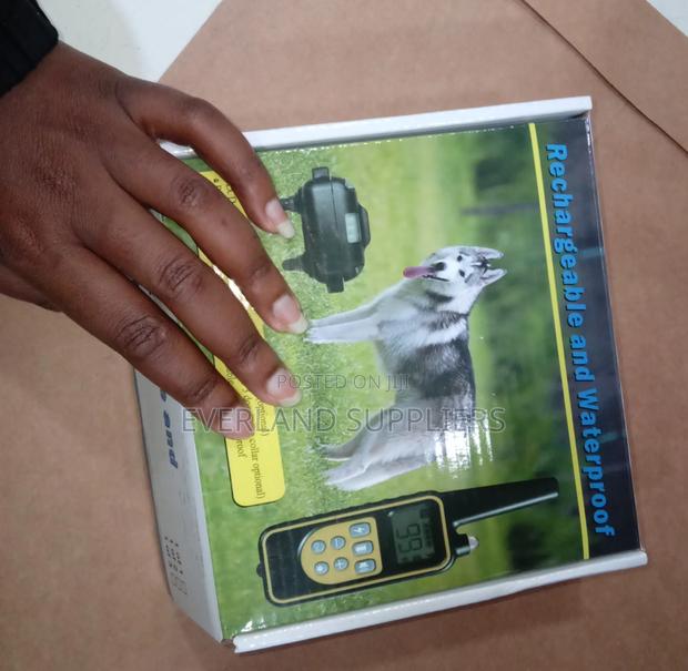Dog Training Collar With Remote - main view