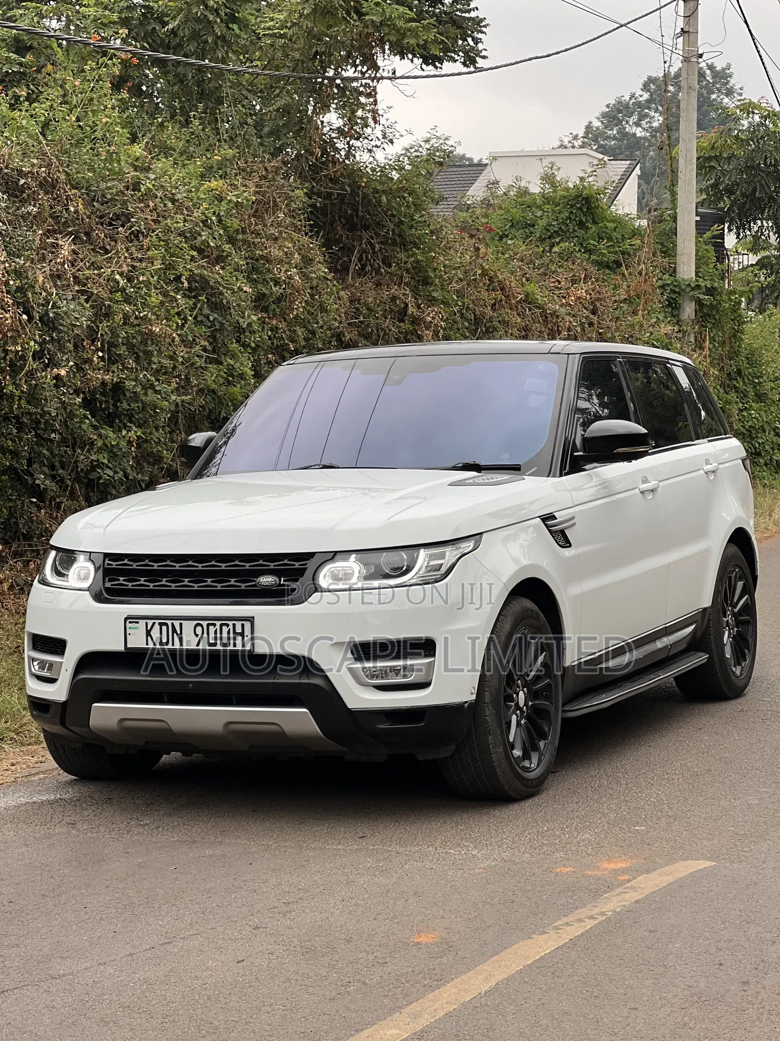 Rover Land 2015 White