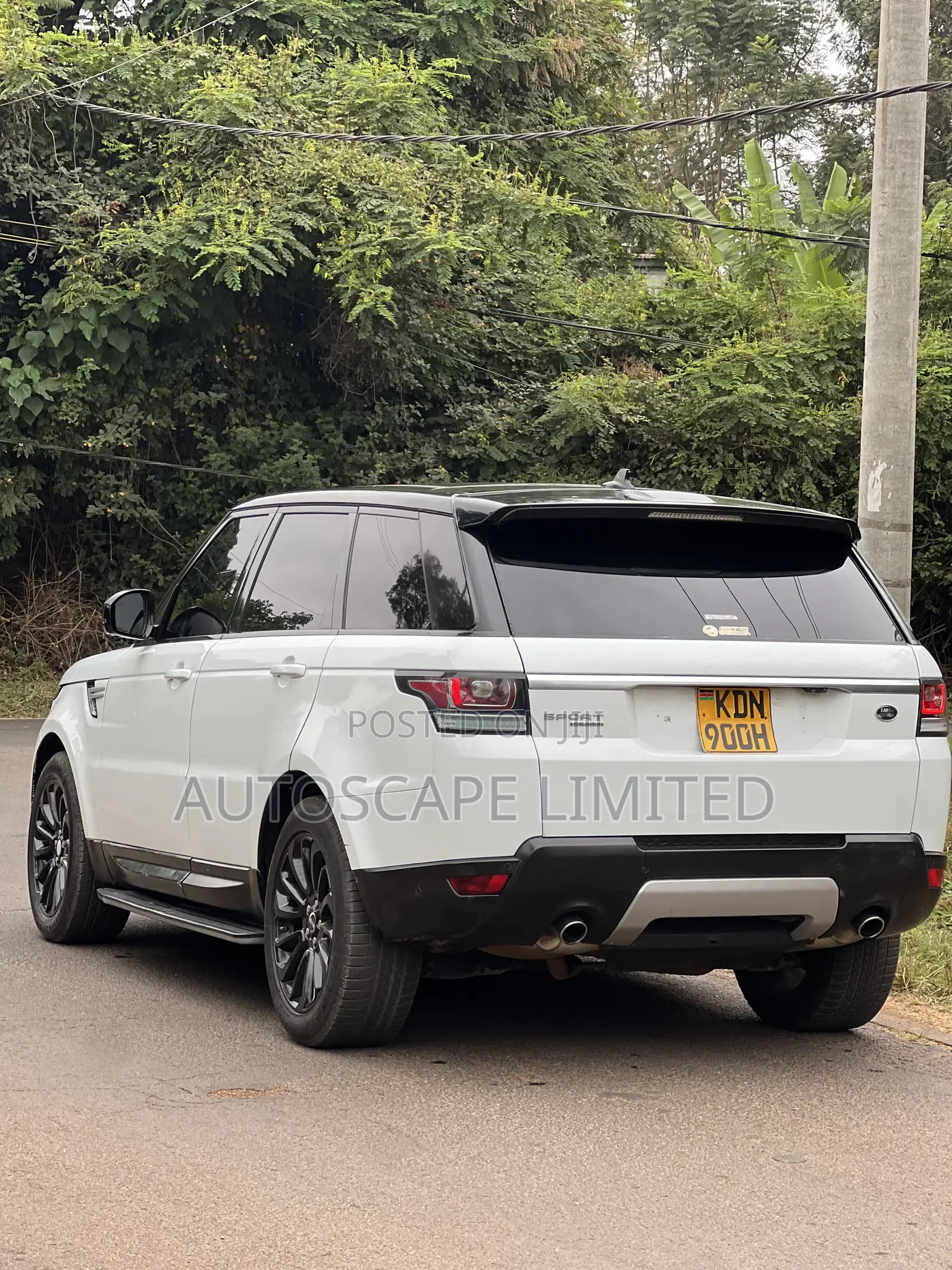 Rover Land 2015 White