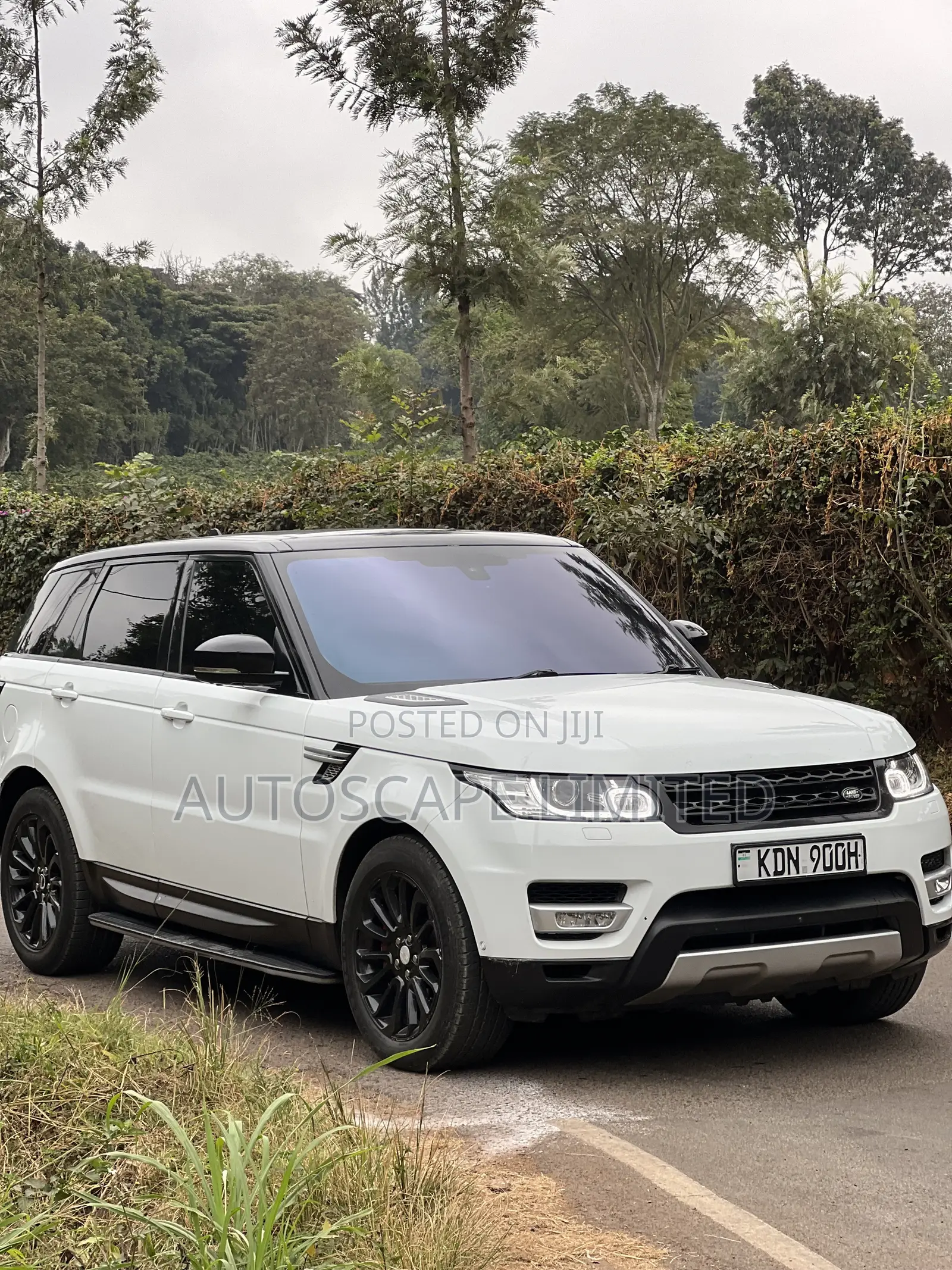 Rover Land 2015 White