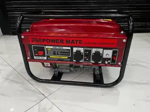 PM3800 3.0kva Petrol Genset