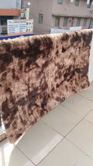 Thick Fluffy 5x8 Home Carpet