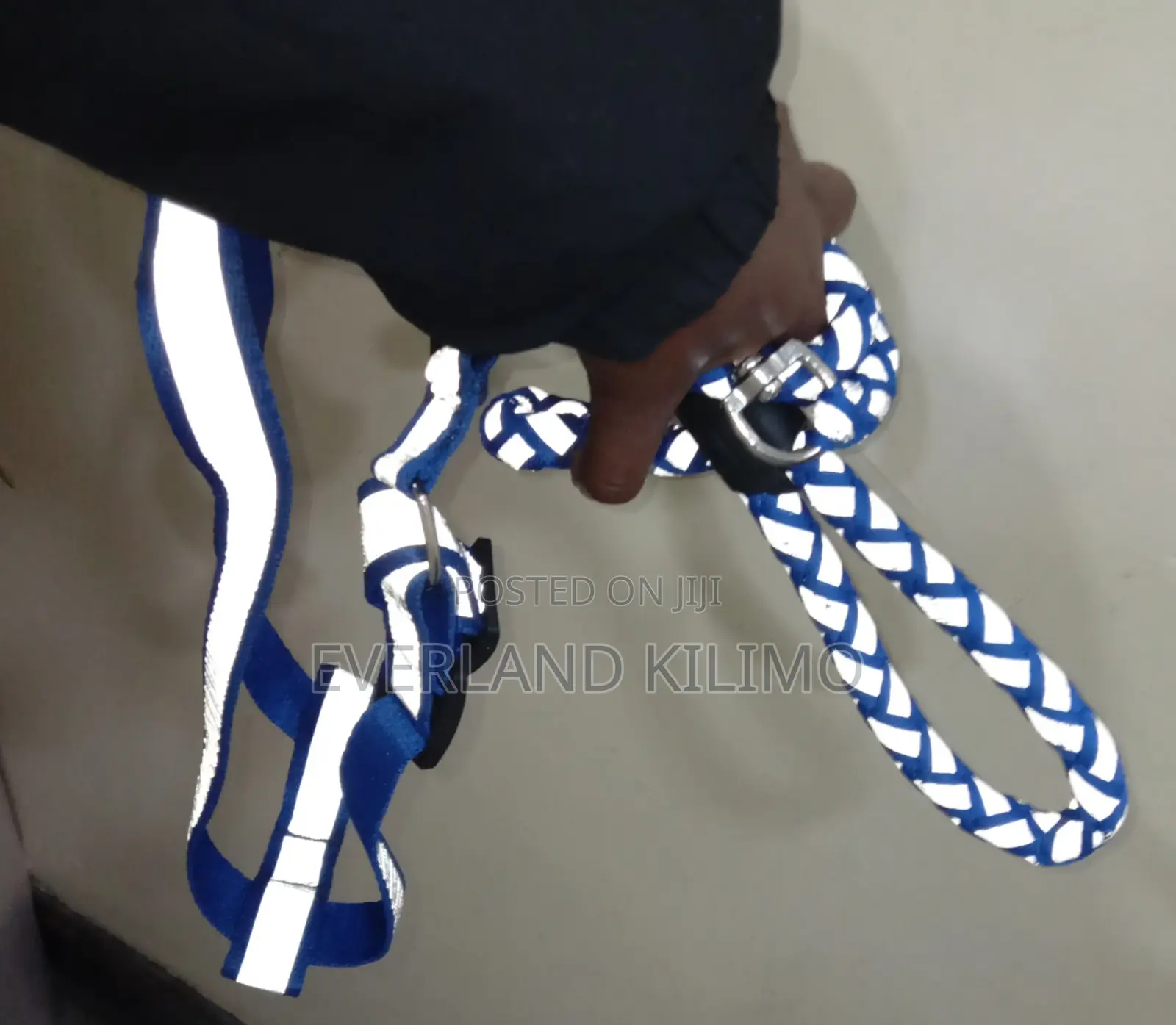 Outdoor Walking Reflective Dog Leash and Harness