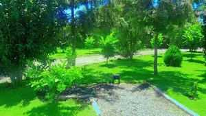 Land Scapping