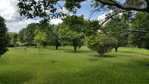 5 Acres Land With 4 Bedroom House in Kiambu for Sale