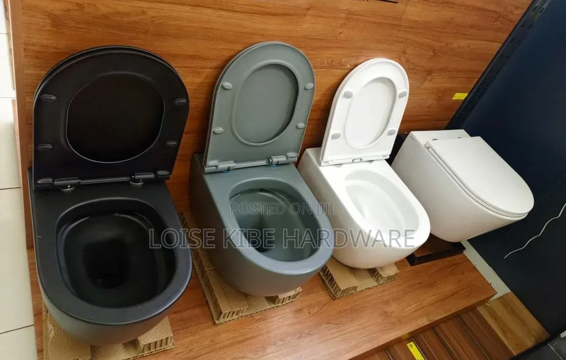 All Colour Wall Hung Toilet Available