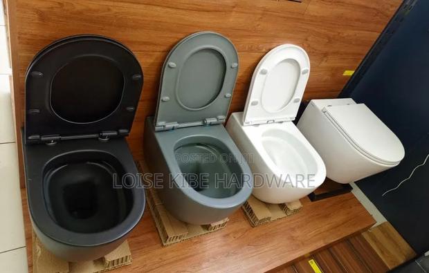 All Colour Wall Hung Toilet Available - main view