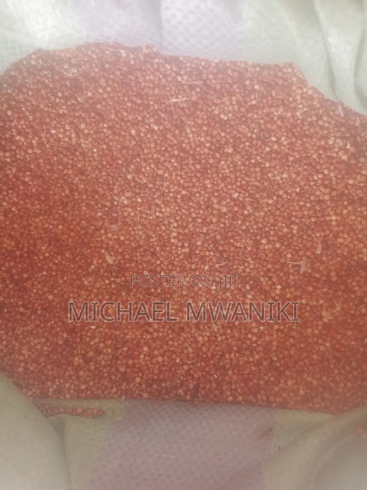6000kg, Clean Animal Feeds Sorghum.