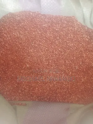 6000kg, Clean Animal Feeds Sorghum.