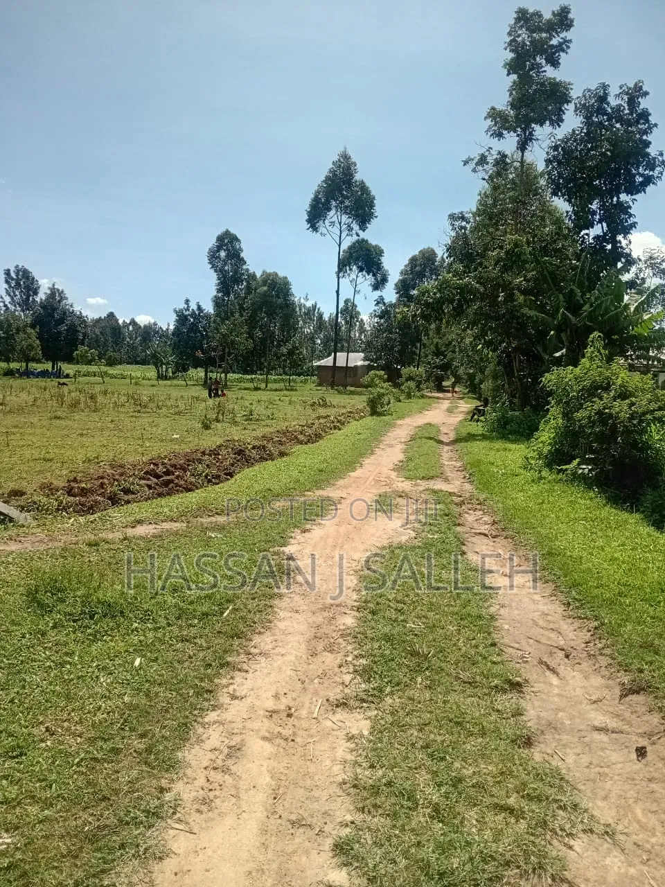 1 Acre in Bungoma.