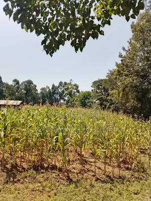 1 Acre in Bungoma.