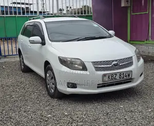 Toyota Corolla Fielder 2007 White