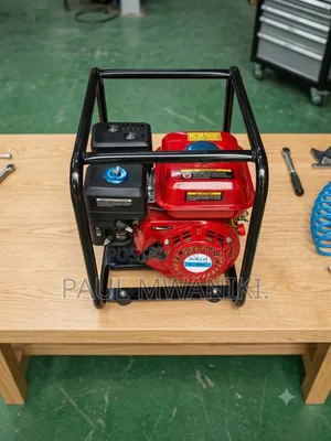 Heavy-Duty AIGS 8.0HP General Purpose Petrol Engine With Steel Cage
