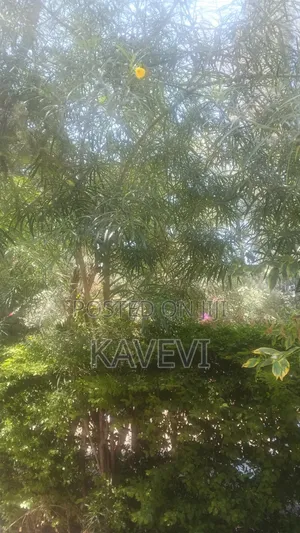 1/4 Acre Plots for Sale Mlolongo Touching Mombasa Road