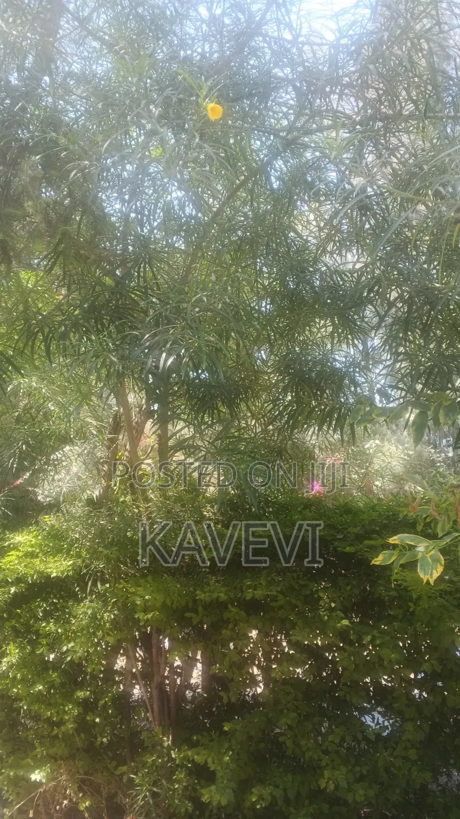 1/4 Acre Plots for Sale Mlolongo Touching Mombasa Road