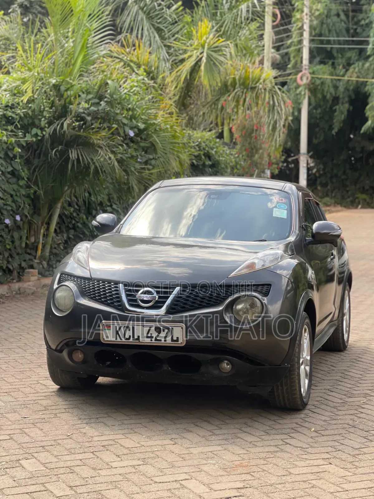 Nissan Juke 2011 Gray