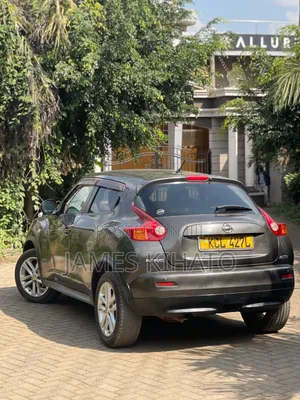 Nissan Juke 2011 Gray