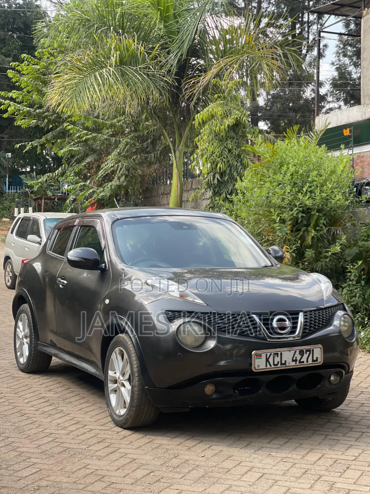 Nissan Juke 2011 Gray