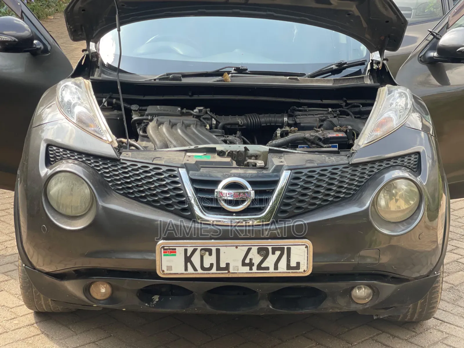 Nissan Juke 2011 Gray