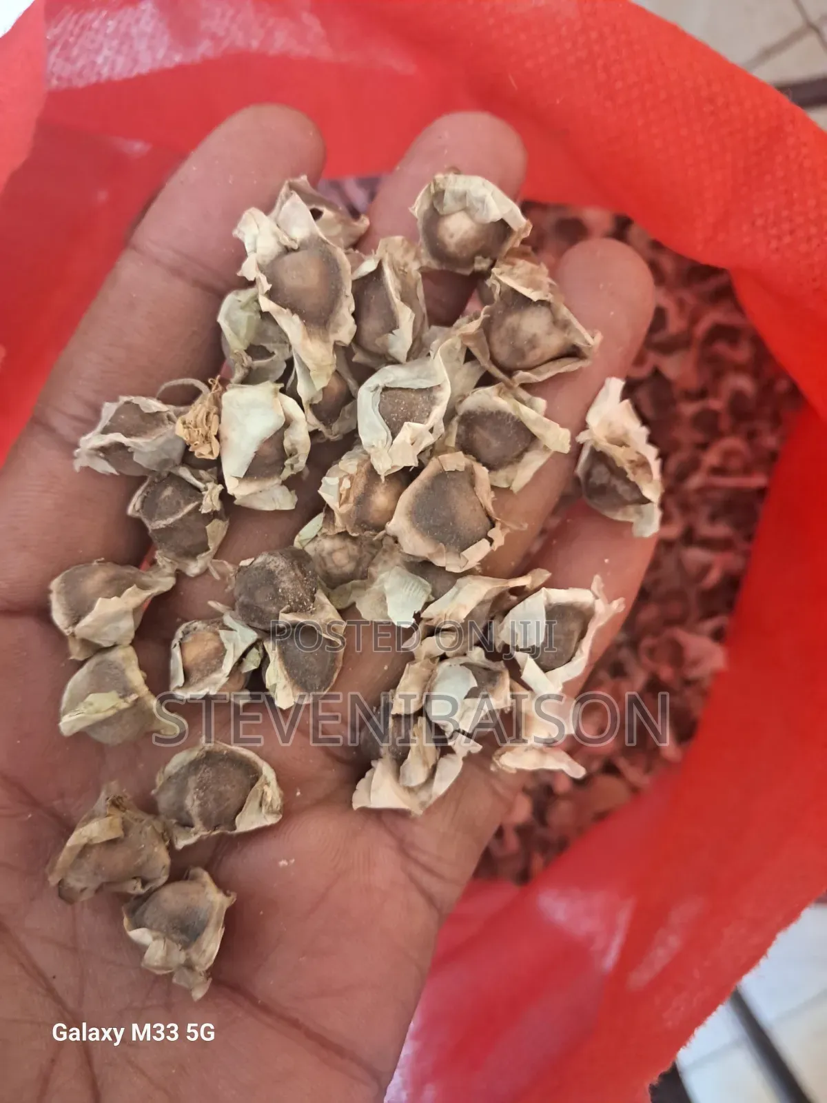 Moringa Oleifera Seeds