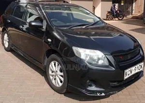 Toyota Corolla Fielder 2010 Black
