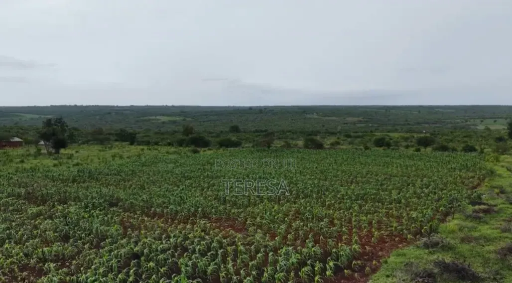 Prime Land for Sale in Malindi With Flexible Payment Plan