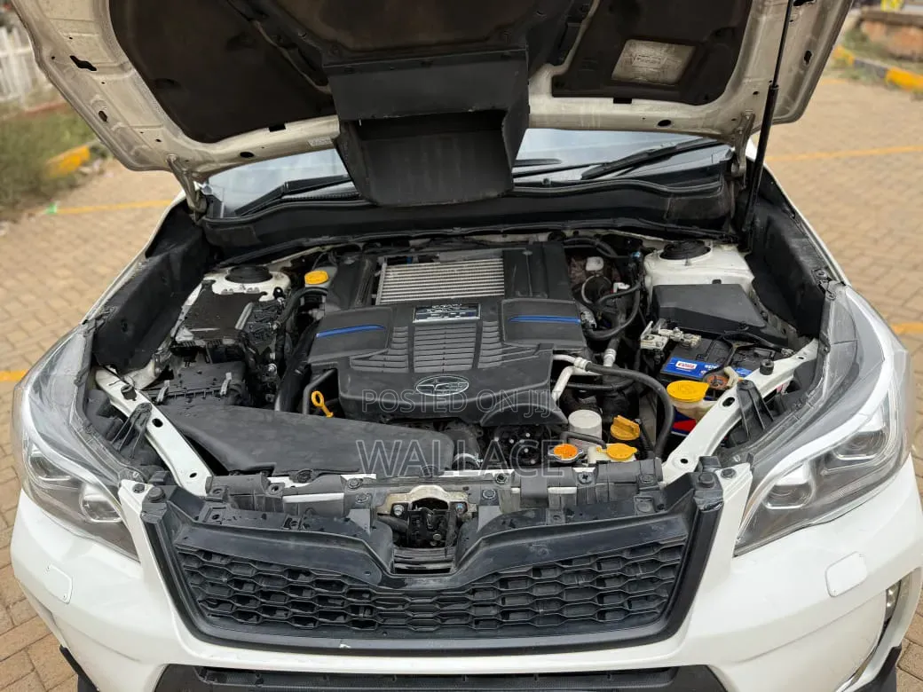 Subaru Forester 2014 White