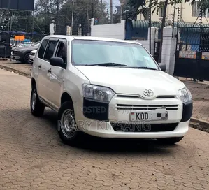 Toyota Probox 2010 White