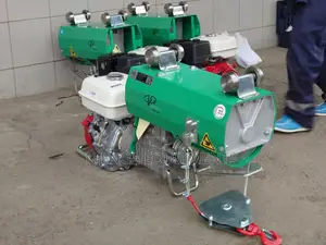 Iori Italy 1 Tonne Concrete Hoist