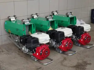 Iori Italy 1 Tonne Concrete Hoist