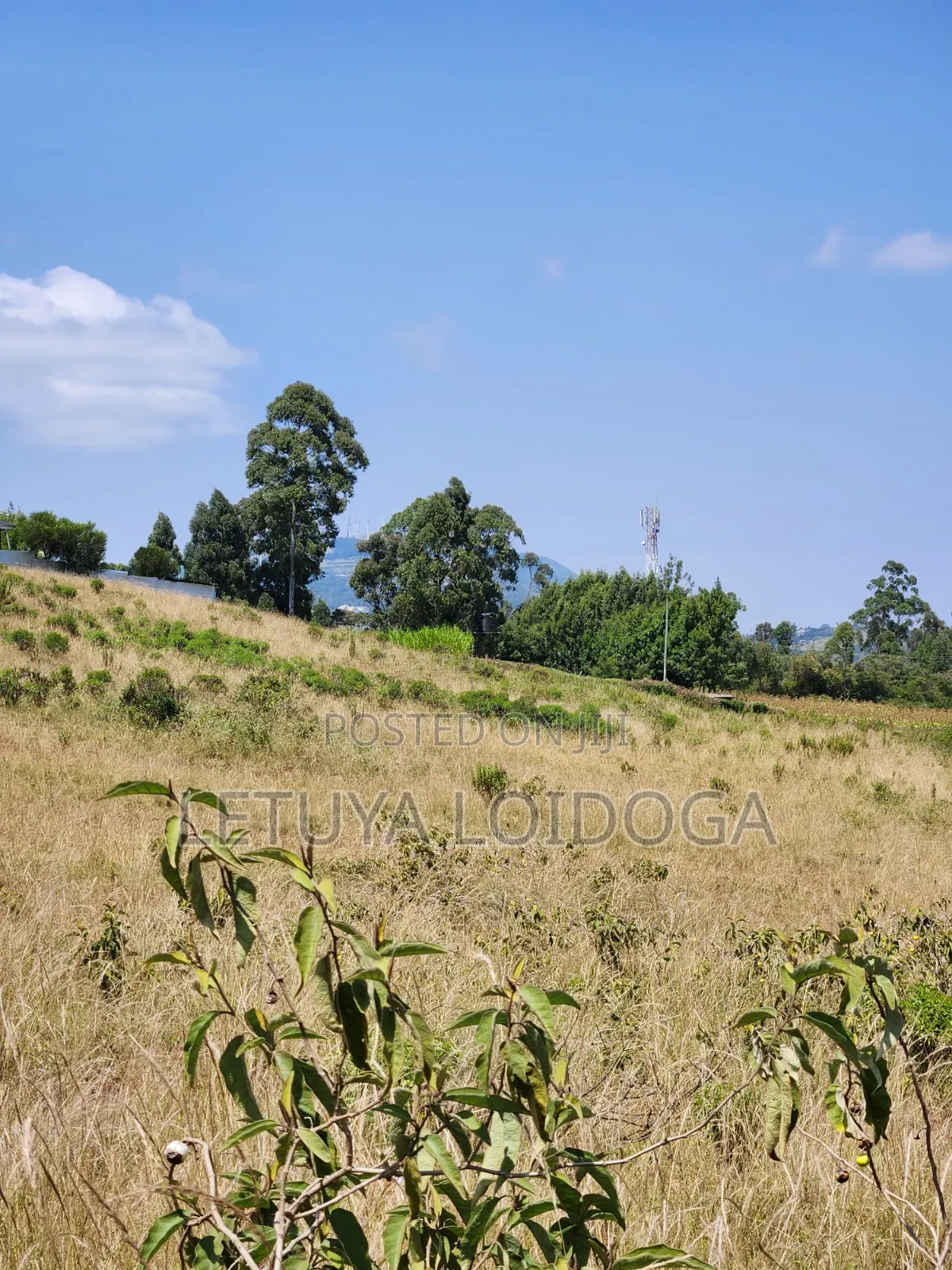 3.8 Acres Ngong-Kibiko Fronting