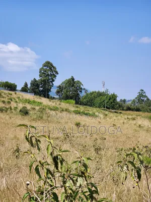 3.8 Acres Ngong-Kibiko Fronting
