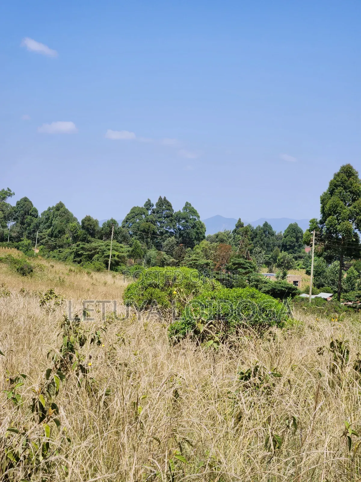 3.8 Acres Ngong-Kibiko Fronting