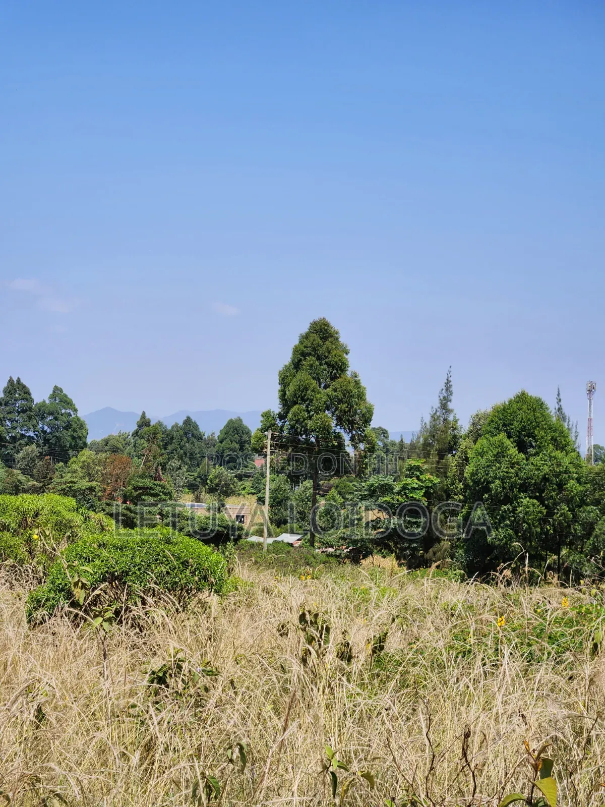 3.8 Acres Ngong-Kibiko Fronting