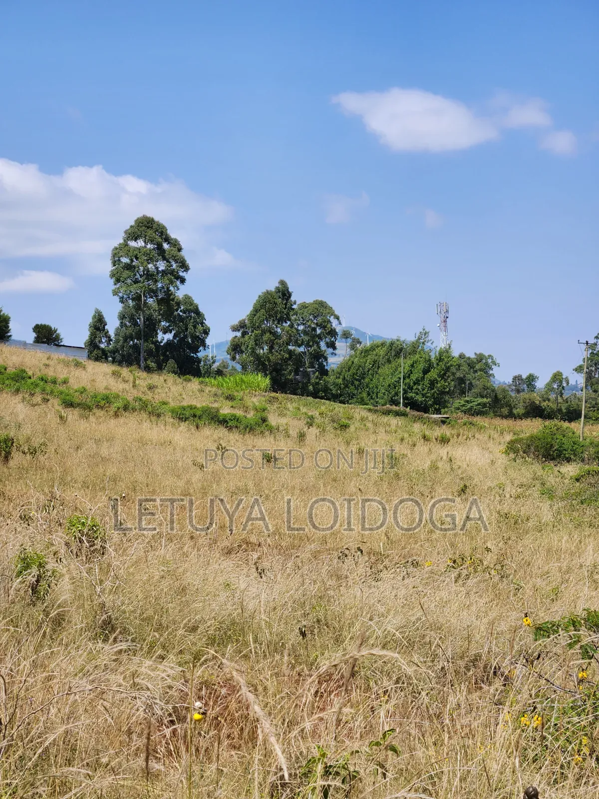 3.8 Acres Ngong-Kibiko Fronting