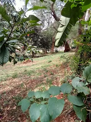 5bdrm Mansion in Old Muthaiga for sale
