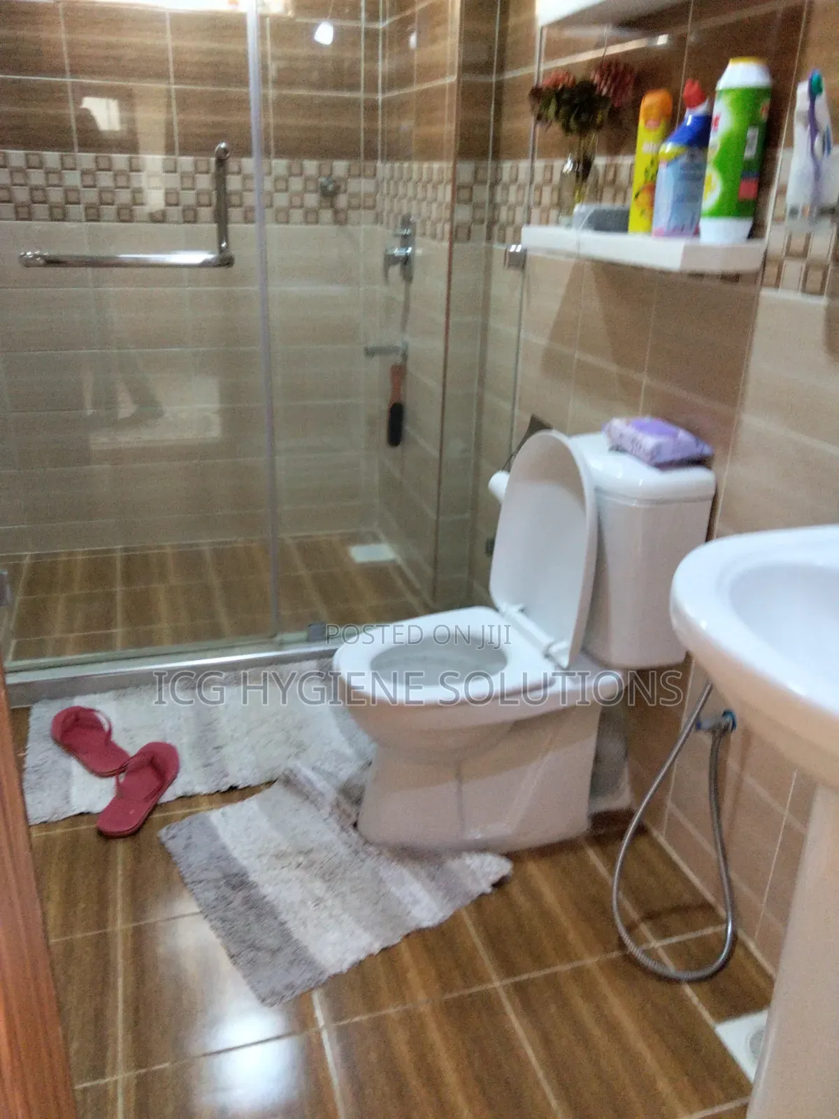 Toilet Deep Cleaning