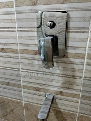 Toilet Deep Cleaning