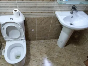 Toilet Deep Cleaning